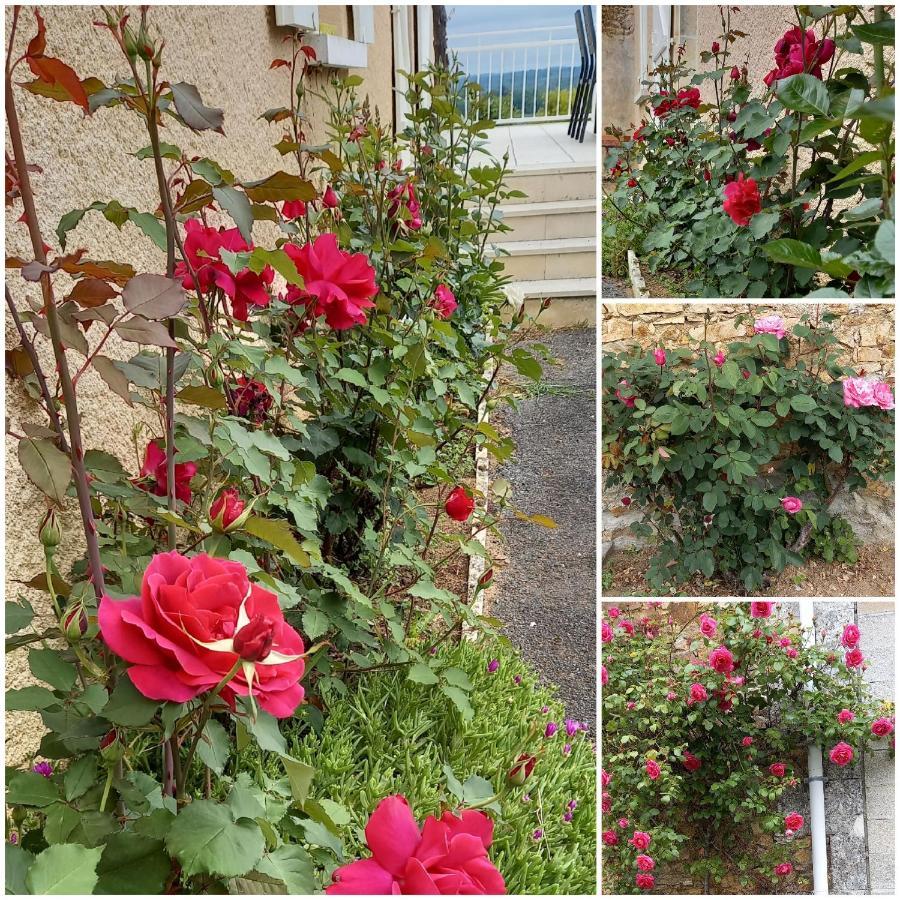 La Mesange Bleue Bed & Breakfast Ecuras Dış mekan fotoğraf