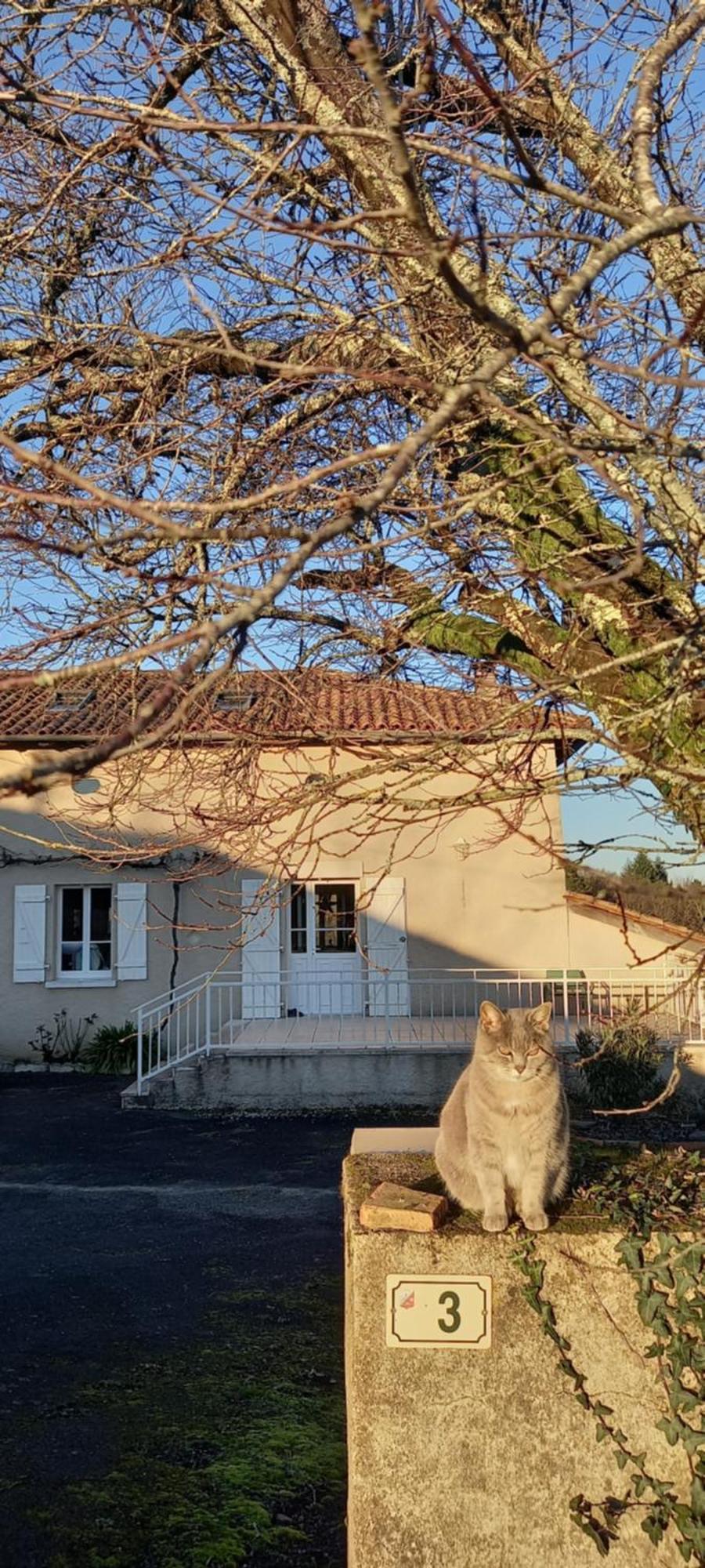 La Mesange Bleue Bed & Breakfast Ecuras Dış mekan fotoğraf